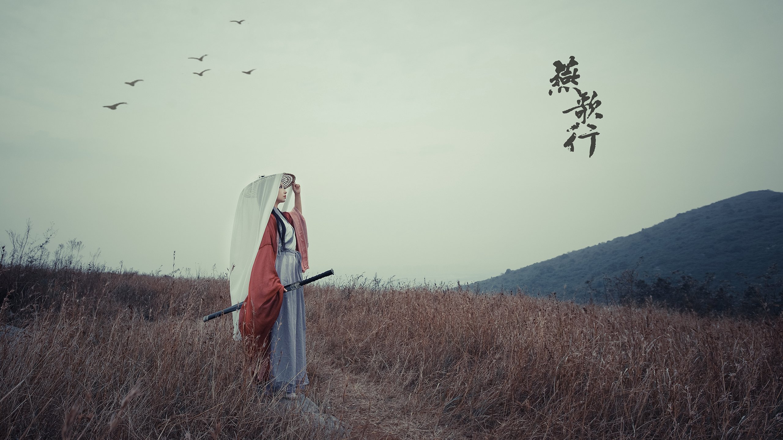 _新媒体赛：借助直播、短视频传递比赛精彩_，新媒体直播大赛的策划与脚本