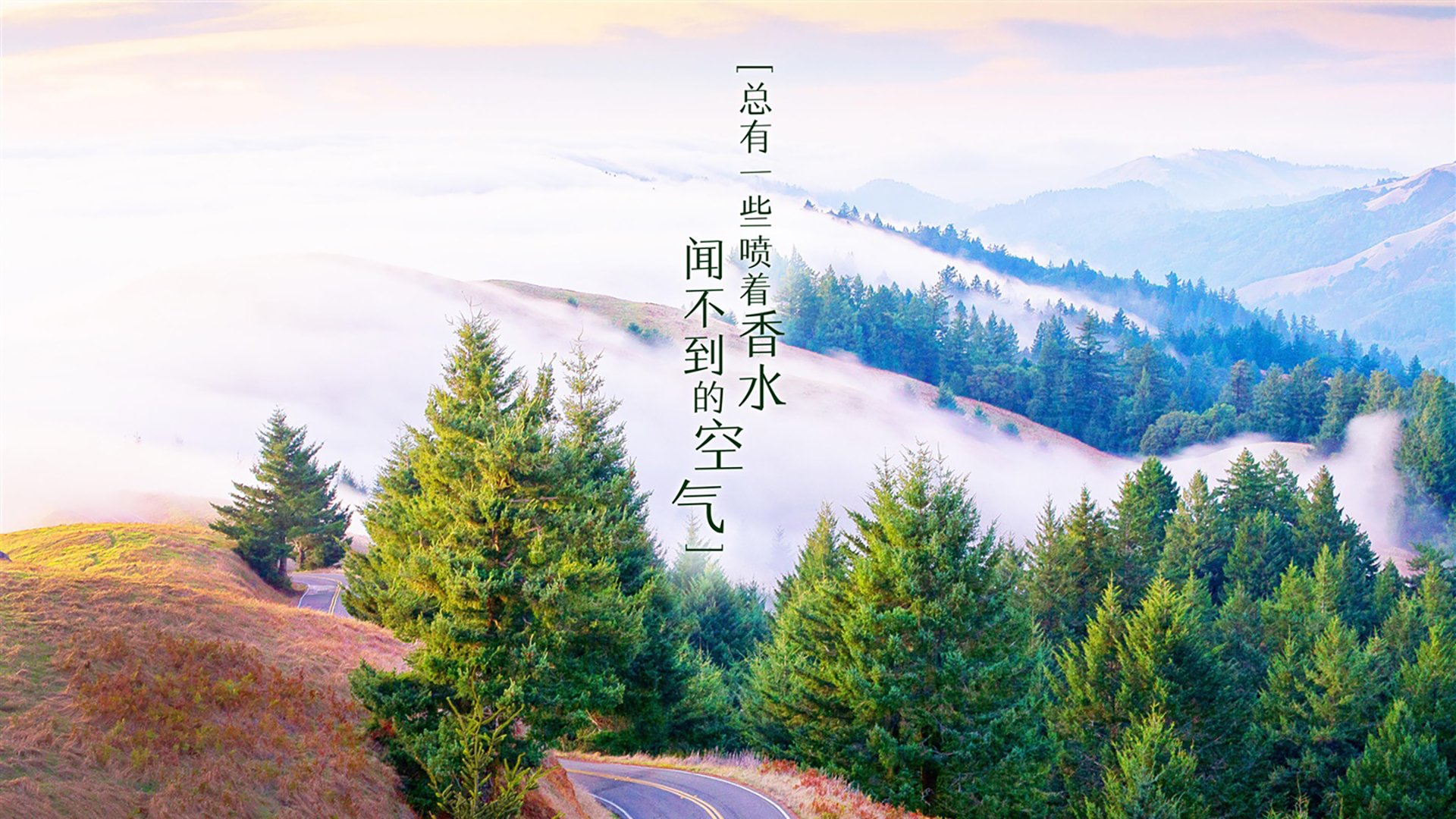 【赛事亮点】本年度最令人难忘的棒球瞬间，棒球精彩