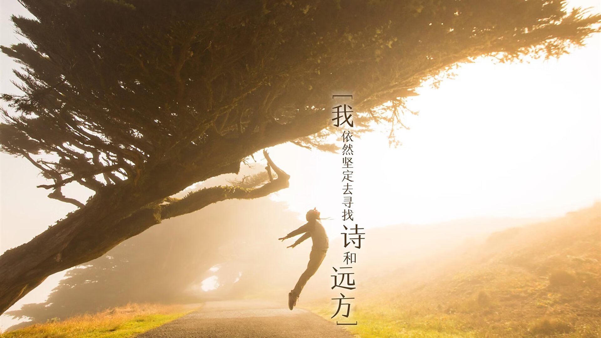 瑞典队未来发展：通过技术创新与全球合作开创新局面，瑞典队近况