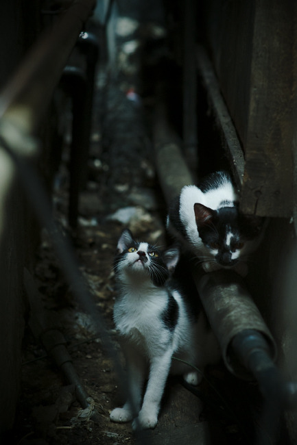 马刺二队球员获得首次参与主队训练机会，马刺二队球员获得首次参与主队训练机会