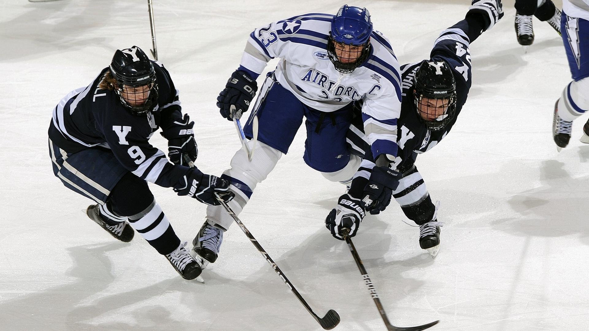 “智慧场馆+绿色基础”行业创新方案在多地落地生根，绿色产业创新创业大赛